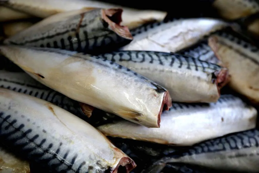 фотография продукта Рыбу, икру, морепродукты